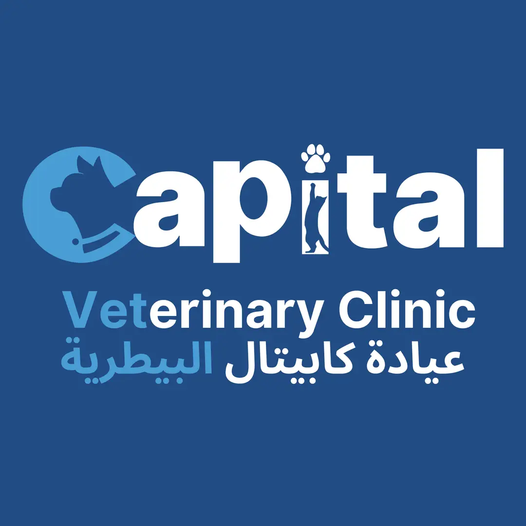 685be6343420928fd4ec4c52